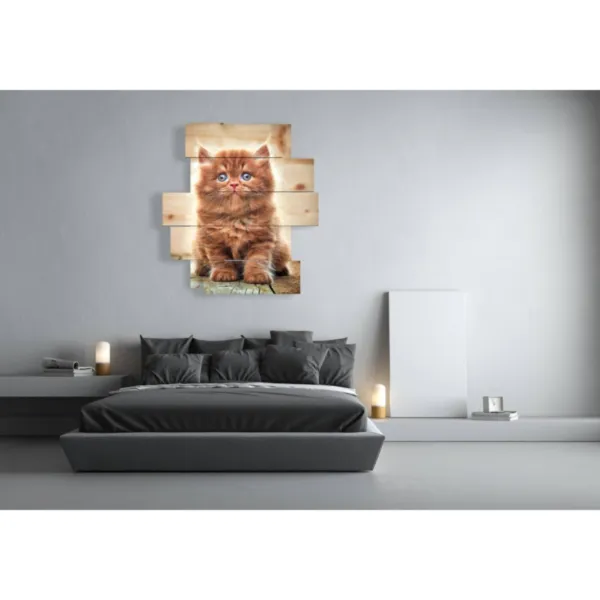 dekorative Katzenbilder