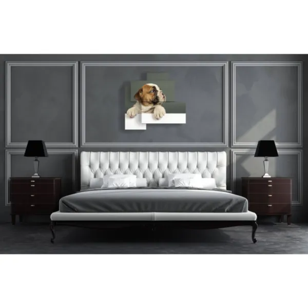 decoración para perros