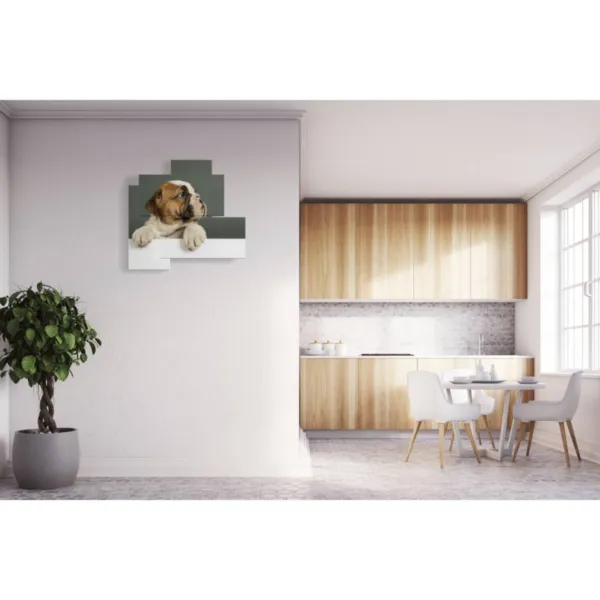 diseño de interiores para perros