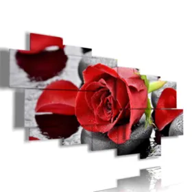 Modrige Drucke, rote Rosen