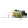 painting white roses in book pages - version: 18 pannelli 306x110cm