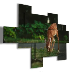 peintures représentant un cerf de montagne