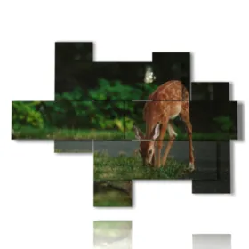 Cuadros con animales de montaña