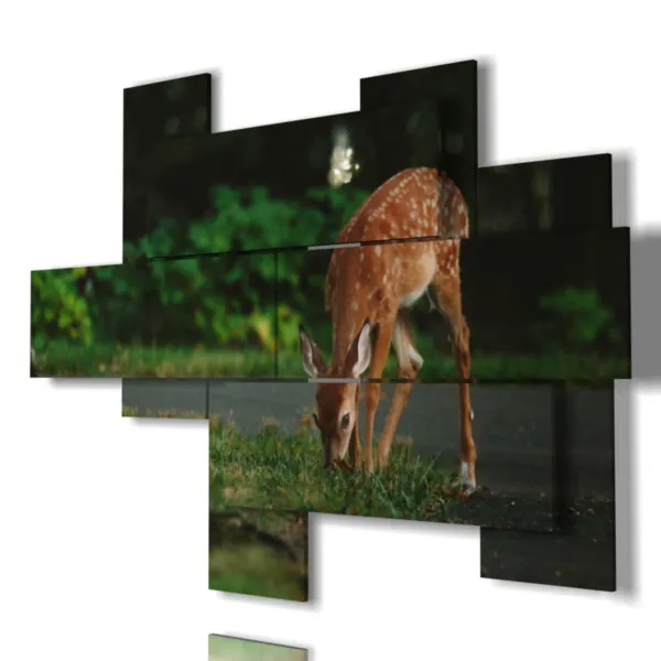 impressions d''animaux de montagne