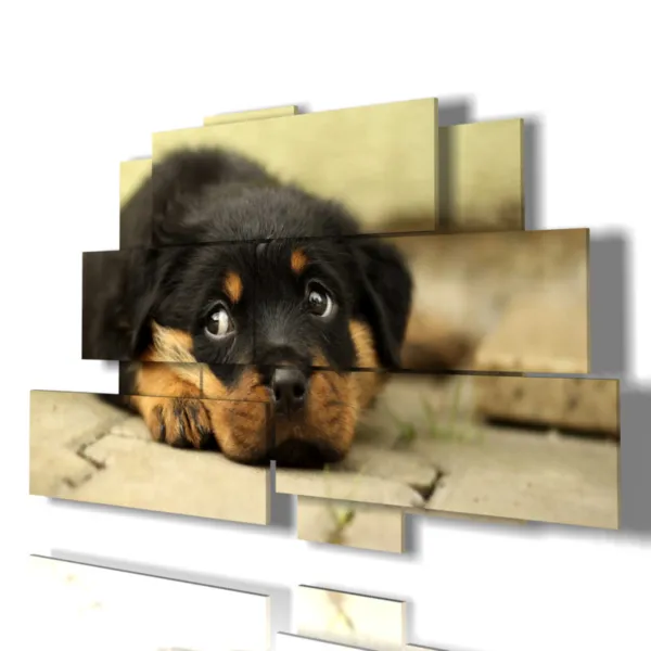 stampe di cani dipinti