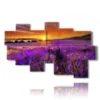 paintings lavender flowers kissed by a spectacular sunset - version: 10 pannelli 186x115cm