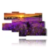 paintings lavender flowers kissed by a spectacular sunset - version: 9 pannelli 180x103cm