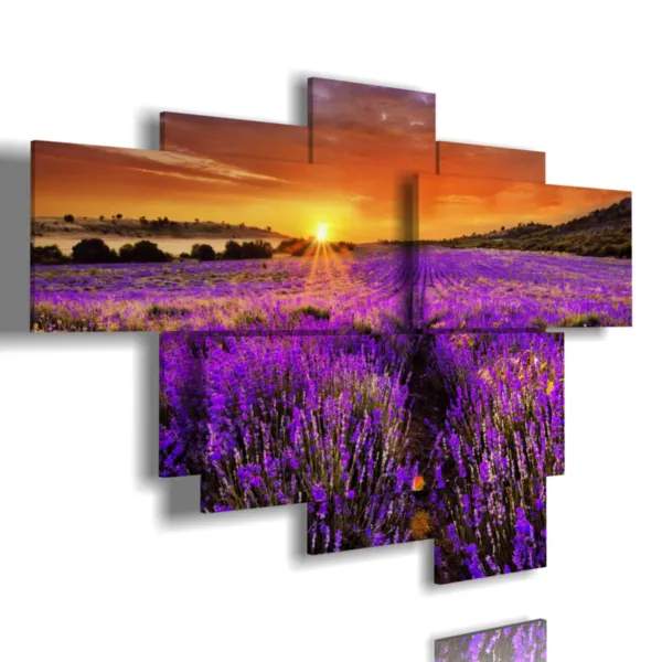 tableaux, fleurs, lavande