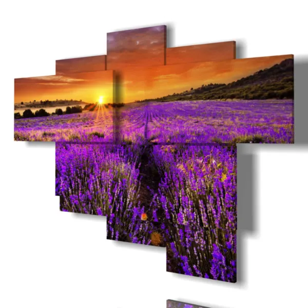 quadri lavanda