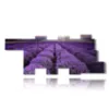 paintings with lavender flowers in a reflected sky - version: 12 pannelli 258x105cm