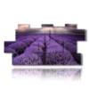 paintings with lavender flowers in a reflected sky - version: 11 pannelli 202x103cm