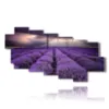 paintings with lavender flowers in a reflected sky - version: 9 pannelli 200x111cm