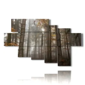 quadri alberi inverno