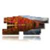 paintings autumn landscapes reflected in the lake - version: 13 pannelli 239x101cm