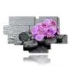 pictures with purple orchid flowers lying in the stones - version: 12 pannelli 206x119cm