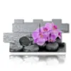 pictures with purple orchid flowers lying in the stones - version: 11 pannelli 202x103cm