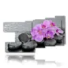cuadros con flores de orquideas purpuras en las piedras - version: 9 pannelli 184x108cm
