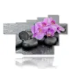 cuadros con flores de orquideas purpuras en las piedras - version: 7 pannelli 173x108cm