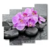 pictures with purple orchid flowers lying in the stones - version: 5 pannelli 106x98cm