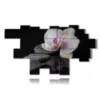 modern paintings orchids and stones on a black background - version: 20 pannelli 276x152cm