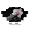 tableaux modernes orchidees et pierres sur fond noir - version: 20 pannelli 258x152cm