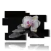 modern paintings orchids and stones on a black background - version: 12 pannelli 190x119cm