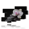modern paintings orchids and stones on a black background - version: 10 pannelli 188x117cm