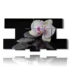 tableaux modernes orchidees et pierres sur fond noir - version: 8 pannelli 186x97cm