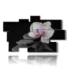 tableaux modernes orchidees et pierres sur fond noir - version: 9 pannelli 182x107cm