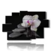 modern paintings orchids and stones on a black background - version: 9 pannelli 171x108cm