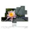 painting with lotus flowers - version: 9 pannelli 183x121cm
