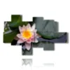 painting with lotus flowers - version: 8 pannelli 175x112cm
