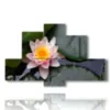cuadro con flores de loto - version: 6 pannelli 135x85cm