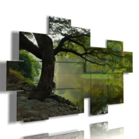 quadri autunnali albero