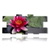 painting water lilies in the pond - version: 13 pannelli 233x107cm