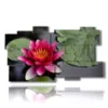 painting water lilies in the pond - version: 11 pannelli 184x104cm