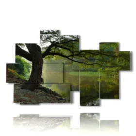 alberi autunnali quadri