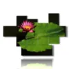 bilder mit grossen blattblumen bilder - version: 7 pannelli 173x117cm