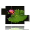 bilder mit grossen blattblumen bilder - version: 5 pannelli 128x85cm