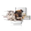 quadri con cani e gatti amici - version: 12 pannelli 206x119cm