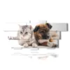 bilder mit hunden und katzenfreunden - version: 12 pannelli 232x107cm