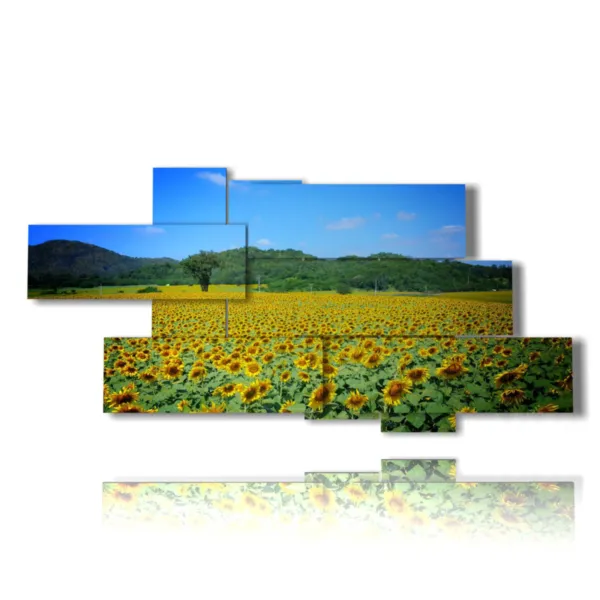 peintures abstraites de tournesols