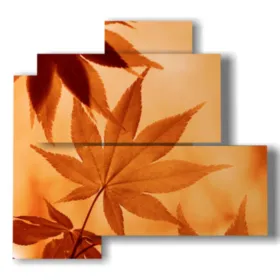 quadri fiori astratti