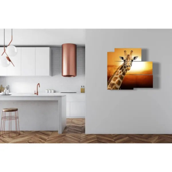 mobilier avec des tableaux d''animaux africains