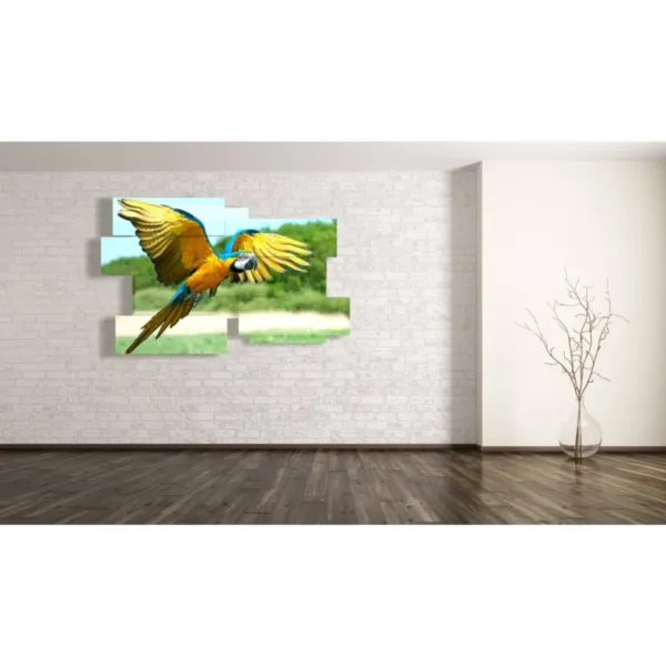 Paintings with a parrot.