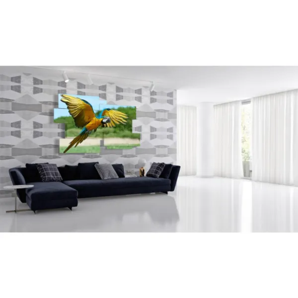 quadri decorativi pappagallo