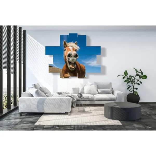 paintings, horses, shop