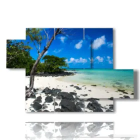 tableaux paysages mer