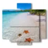 quadri mare isola caraibica con stelle marine - version: 5 pannelli 89x85cm