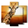 tableaux animaux africains avec girafe vous regardant - version: 5 pannelli 89x85cm